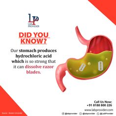 Medicine Facts, Medical Facts Interesting, Hazardous Waste Disposal Facts, Stomach Creative Ads, Stomach Pain Regions, Do You Know Facts Health, Understanding Stomach Acid Production, Understanding Stomach Bacteria, Did You Know Health Tips