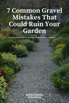 a gravel path surrounded by plants and flowers with text overlay that reads, 7 common gravel