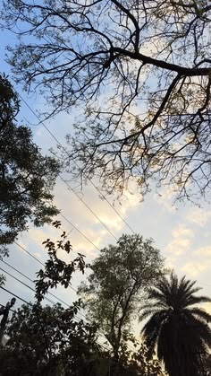 the sky is very cloudy and there are many trees