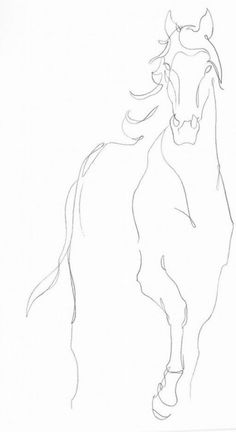 a line drawing of a horse running
