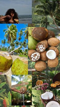 the collage shows coconuts, coconut oil and coconut milk in various stages of development