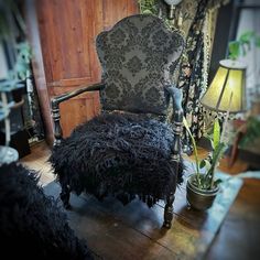 an old chair with black feathers on it and a lamp next to it in a living room