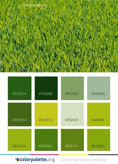 the color scheme for green grass