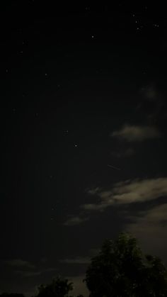 the night sky is full of stars and some trees in the foreground, with an airplane flying overhead