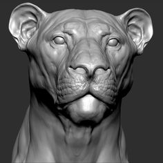 an animal that is looking at the camera with its eyes wide open and it's head