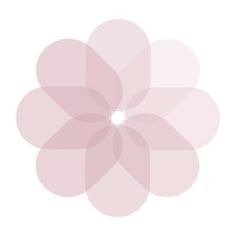 a pink flower on a white background