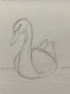a pencil drawing of a duck in the water with its head turned to the side