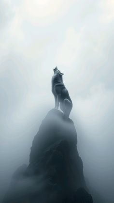 a lone wolf standing on top of a mountain