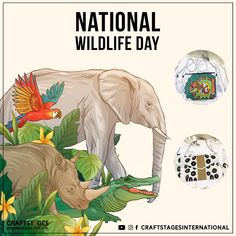 an elephant and bird are depicted in this national wildlife day poster, which features images of animals from different parts of the world