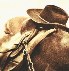 Wild West Horse, Real Cowboy, Old West Aesthetic, Cowboy Vibes, 70s Cowboy Aesthetic, Country Widgets, Wild West Aesthetic, Western Cowboy Aesthetic, Horse Icon Aesthetic