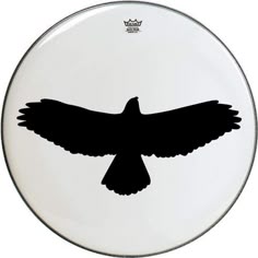 a black and white silhouette of a bird on a drumhead with the words king written across it