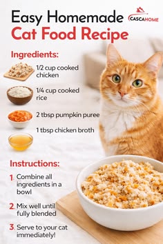 an orange and white cat sitting next to a bowl of food