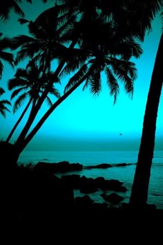 two palm trees are silhouetted against the blue sky and ocean in this photo taken at dusk
