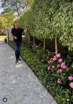 a man walking down a sidewalk next to a lush green hedge covered in pink flowers