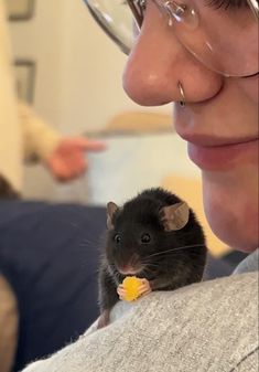 a woman wearing glasses holding a small rodent