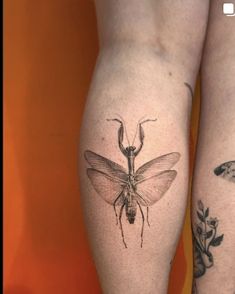 two legs with tattoos on them, one has a bug and the other is a butterfly