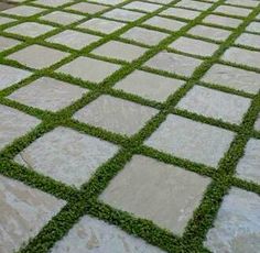 an outdoor patio with grass growing on it