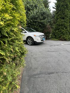 a white car parked in front of some trees