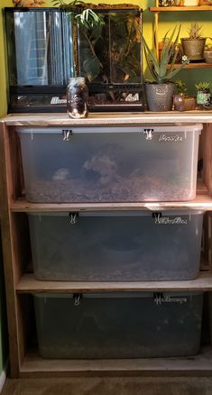 the shelves are filled with plastic containers and plants