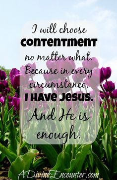 purple tulips with the words i will choose contentment no matter what because it is