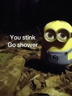 a minion sitting on top of leaves with the caption you stink go shower