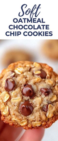 Image for Soft Oatmeal Chocolate Chip Cookies