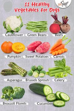 Koje je povrće dobro za pse? Veggies That Are Good For Dogs, Vegetables For Dogs Healthy, Vegetables Good For Dogs, Best Veggies For Dogs, Veggies Good For Dogs, Vegetable For Dogs, What Vegetables Are Good For Dogs, Vegetables Dogs Can Have, Veggies For Dogs