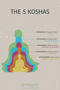 the 5 kohas in different colors and sizes, with their names on each side