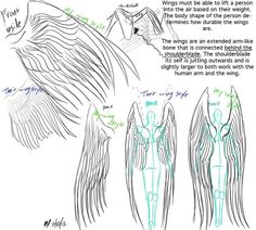 how to draw an angel's wings