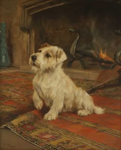 a white dog sitting on top of a rug in front of a fire place with a broom