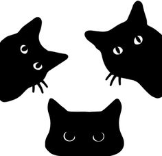 three black cats with big eyes on white background