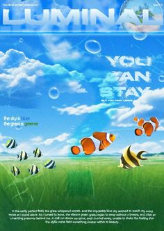 an advertisement for the luminai aquarium is shown in front of a blue sky with clouds