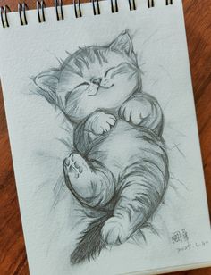a drawing of a cat sleeping on its back