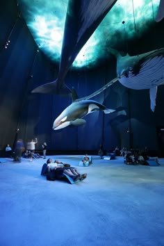 people are sitting on the floor in front of an aquarium with two large sharks hanging from it's ceiling