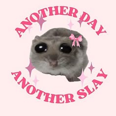 a gray hamster with big eyes and pink stars around it's head that says another day another slay