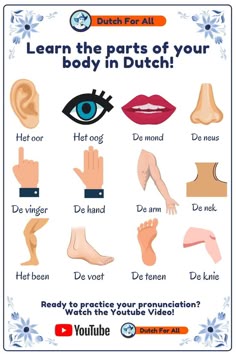 the parts of your body in dutch with pictures and instructions to learn how to use them