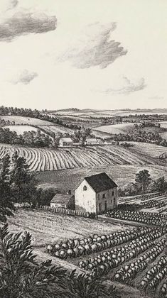 an old black and white drawing of a farm with sheep in the field next to it