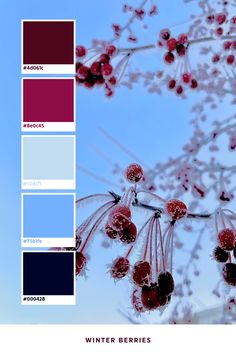 #Winter #Berries #ColorPalette #Inspiration #Color #Paint #PaintColors #BlueSky Color Scheme Winter, Winter 2025 Color Palette, Winter Color Palletes, Winter Color Combo, Winter Color Scheme, Winter Berry, Colour Palette Winter, Winter Flower Color Palette, Berry Wine Color Palette