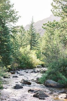 a river running through a forest filled with lots of rocks and pine tree's