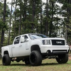 a white truck is parked in the woods