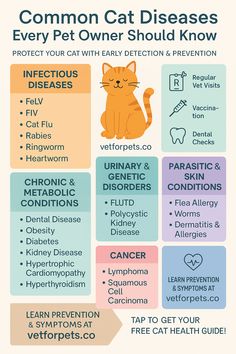 a poster with the words common cat diseases