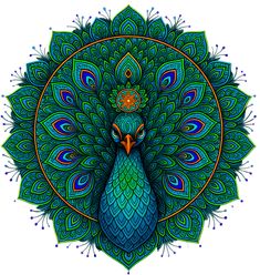 Celebrate the grace and grandeur of nature with this stunning mandala-style peacock artwork. Bursting with intricate feather patterns and vivid hues of blue, teal, and green, this design radiates elegance and spiritual symbolism. Perfect for lovers of boho art, sacred geometry, and Indian-inspired illustrations, this bold and balanced image will add a touch of regal charm to any space or product. Whether on a t-shirt, phone case, notebook, or wall art, this mesmerizing peacock will captivate attention and inspire beauty wherever it appears. Mandala Peacock Design, Peacock Mandala Art Design, Mandala Peacock, Mandala Peacock Illustration, Peacock Themed Mandala Design, Colorful Peacock Feather Mandala, Peacock Mandala Art Colorful, Peacock Mandala Art, Colorful Peacock Mandala Design