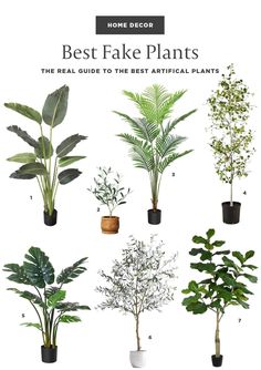 the best fake plants for your home