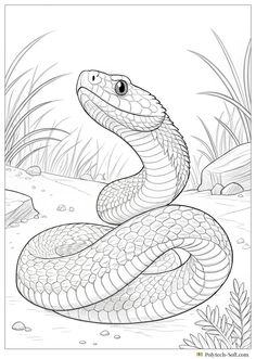 a large snake is in the water coloring page