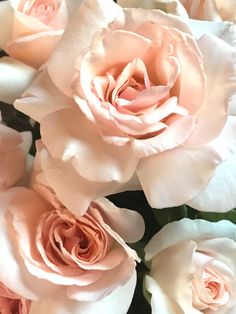 a bouquet of white and pink roses