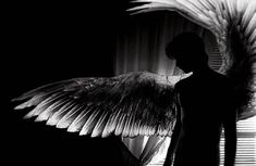 a man standing in front of a window with wings