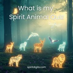 a group of animals that are in the woods with words on it saying, what is my spirit animal quiz?