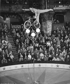 a man on a bicycle is performing tricks in front of an audience at a circus