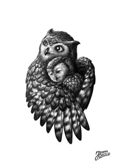 an owl is sitting on top of another bird's head, with its wings spread out