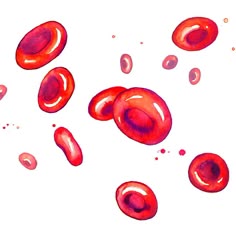 an image of red blood cells floating in the air
